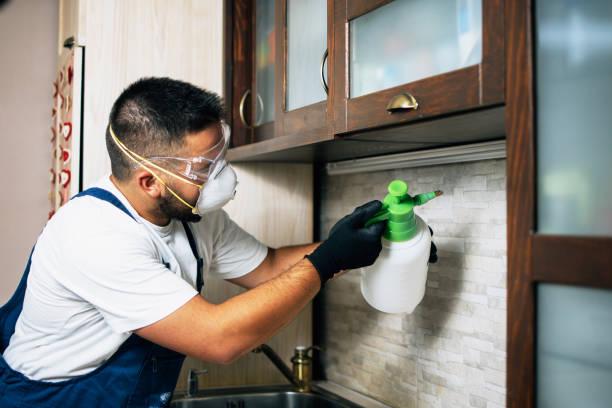 Best Pest Control Near Me  in Lewistown, MT