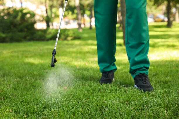 Best Insect Control  in Lewistown, MT