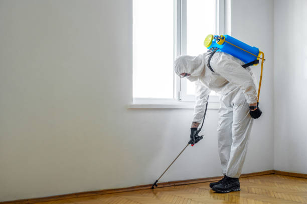 Best Commercial Pest Control Services  in Lewistown, MT
