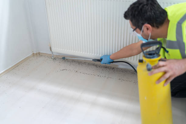 Best Bed Bug Extermination  in Lewistown, MT