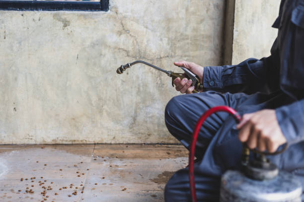 Best Pest Prevention Services  in Lewistown, MT
