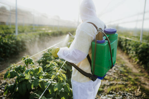 Best Best Pest Control Companies  in Lewistown, MT